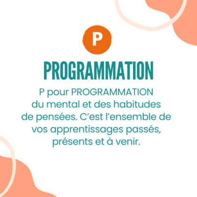 description de programmation de PNL 
