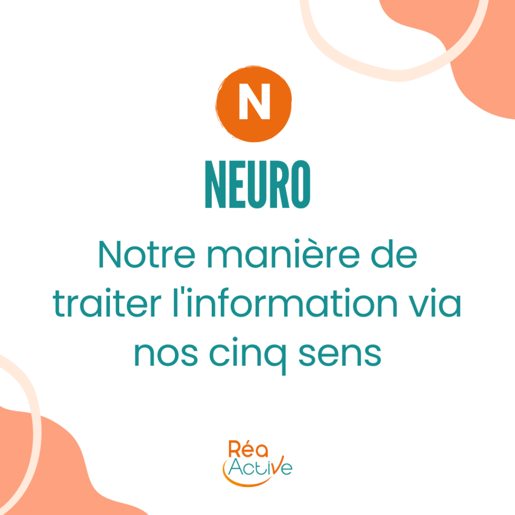 qu'est-ce que la programmation neuro linguistique (PNL)